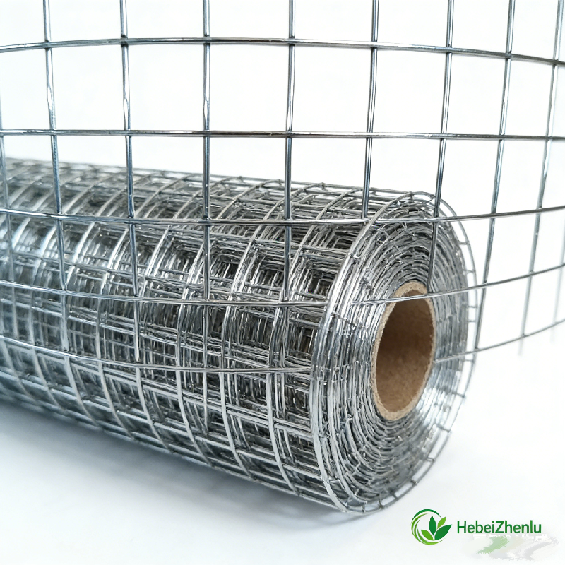 Electro Galvanized Welded Wire Mesh