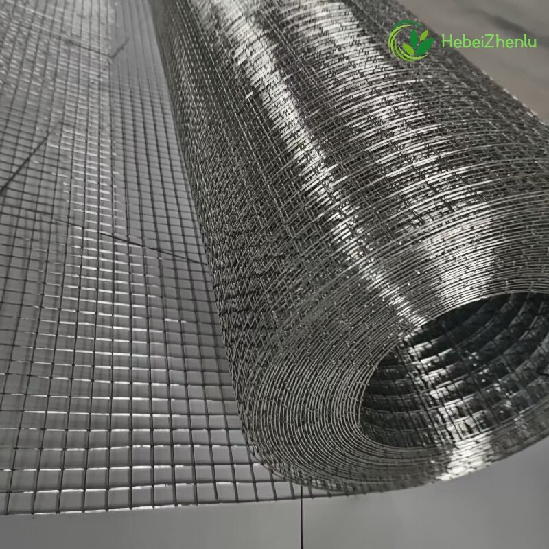 Welded Wire Mesh Roll